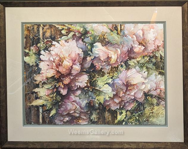 Peony's with Fence by Carol Carpenter